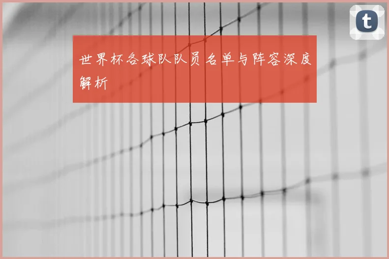 世界杯各球队队员名单与阵容深度解析
