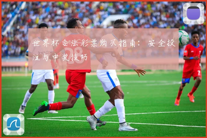 世界杯合法彩票购买指南：安全投注与中奖技巧