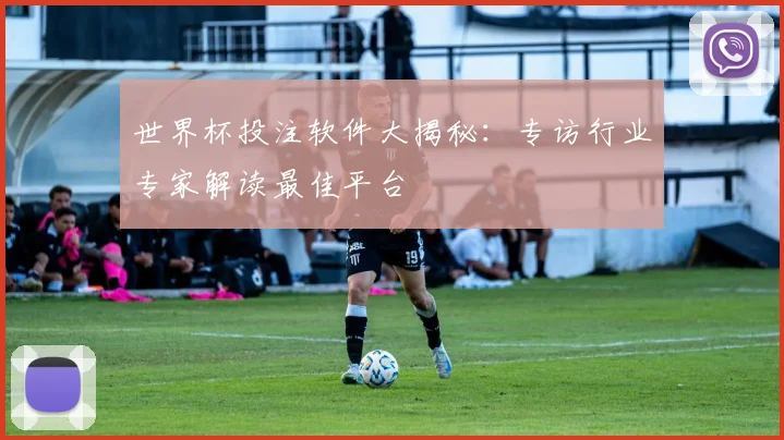 世界杯投注软件大揭秘：专访行业专家解读最佳平台