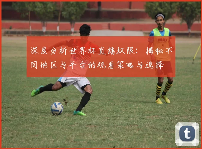 深度分析世界杯直播权限：揭秘不同地区与平台的观看策略与选择