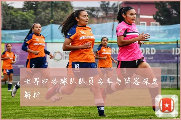 世界杯各球队队员名单与阵容深度解析