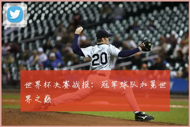 世界杯决赛战报:冠军球队加冕世界之巅