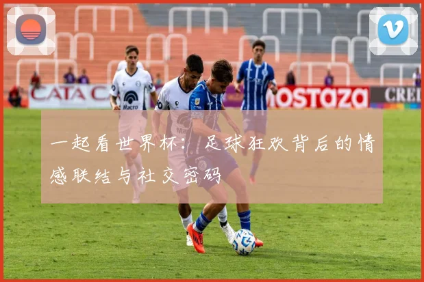 一起看世界杯：足球狂欢背后的情感联结与社交密码