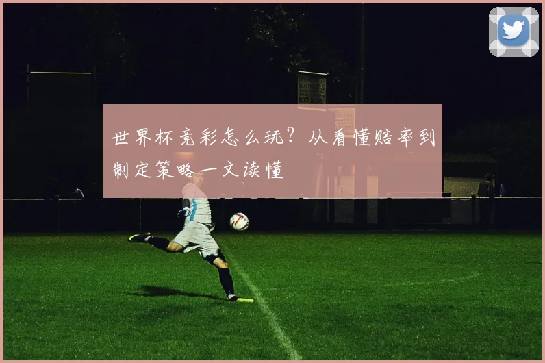 世界杯竞彩怎么玩？从看懂赔率到制定策略一文读懂