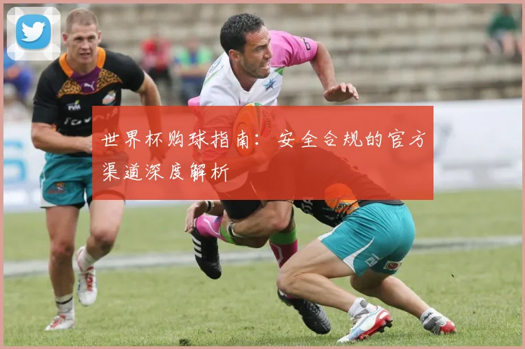 世界杯购球指南：安全合规的官方渠道深度解析